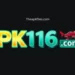 PK166 Game