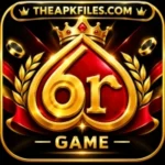 6R Game